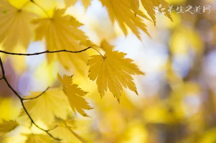 汽车胎压多少最合适