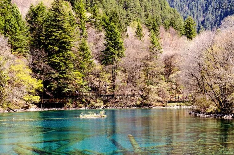 九寨沟火花海将开放 每日限流17000人