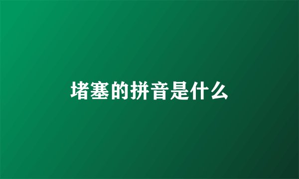 堵塞的拼音是什么