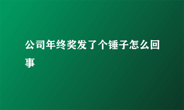 公司年终奖发了个锤子怎么回事