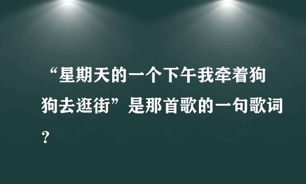 “星期天的一个下午我牵着狗狗去逛街”是那首歌的一句歌词？