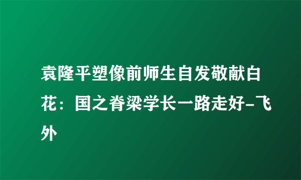 袁隆平塑像前师生自发敬献白花:国之脊梁学长一路走好-飞外