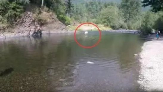 男子见河面漂来箱子打开被吓半死（图）