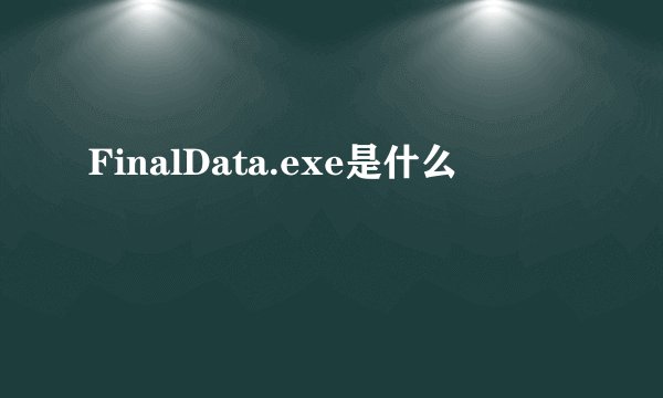 FinalData.exe是什么