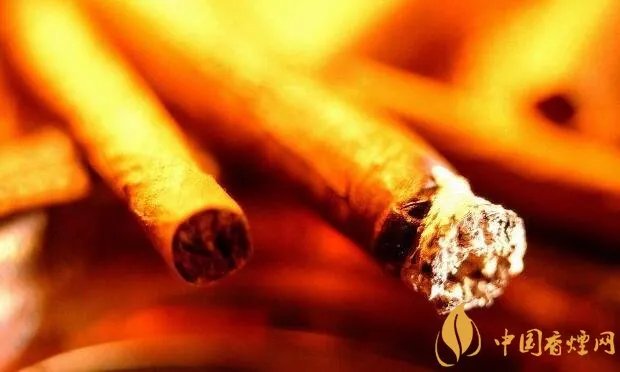 雪茄怎么抽图解 雪茄怎么抽不过肺(正确抽法)