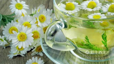 菊花枸杞决明子茶的功效与作用