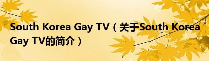 South Korea Gay TV（关于South Korea Gay TV的简介）
