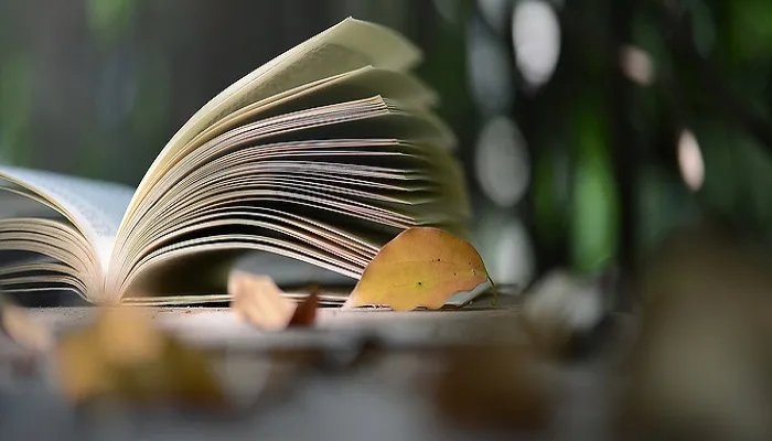 奥丁和宙斯什么关系 奥丁是宙斯吗