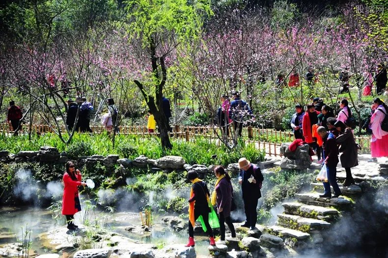 桃花源景区游客爆满 酉阳桃花源门票价格