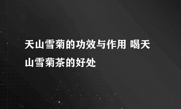天山雪菊的功效与作用 喝天山雪菊茶的好处