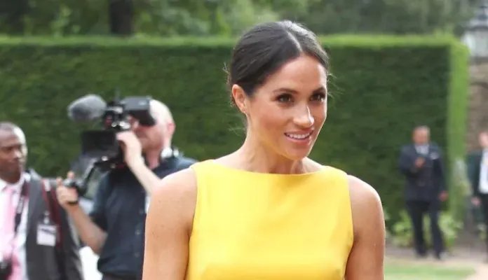 英国名嘴斥责梅根说谎，梅根究竟说谎了没有？