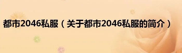 都市2046私服（关于都市2046私服的简介）