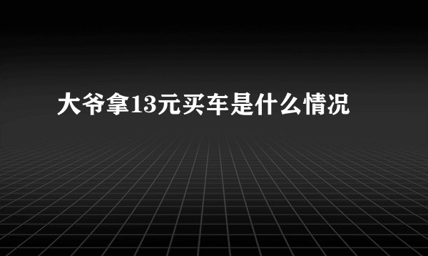 大爷拿13元买车是什么情况