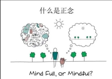 什么是正念