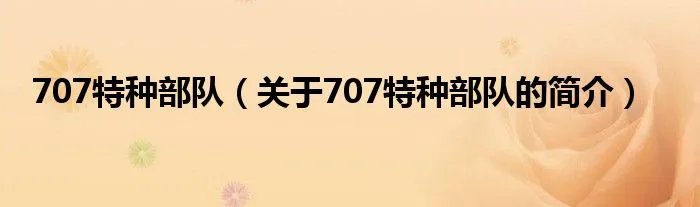 707特种部队（关于707特种部队的简介）