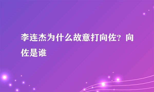 李连杰为什么故意打向佐?向佐是谁
