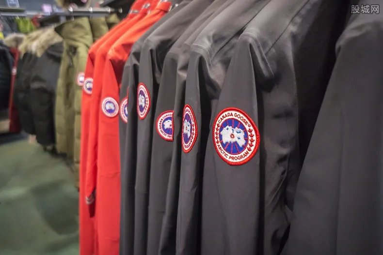 网易考拉真假鹅 公司提出这样鉴定加拿大鹅真伪