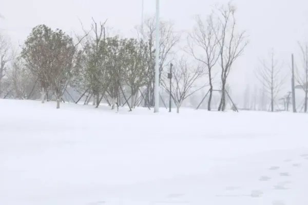 沈阳8日全市学校停课一天,停课的原因是什么?