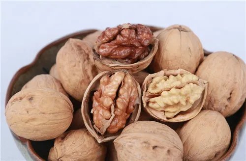 山核桃图片和介绍 山核桃有哪些功效