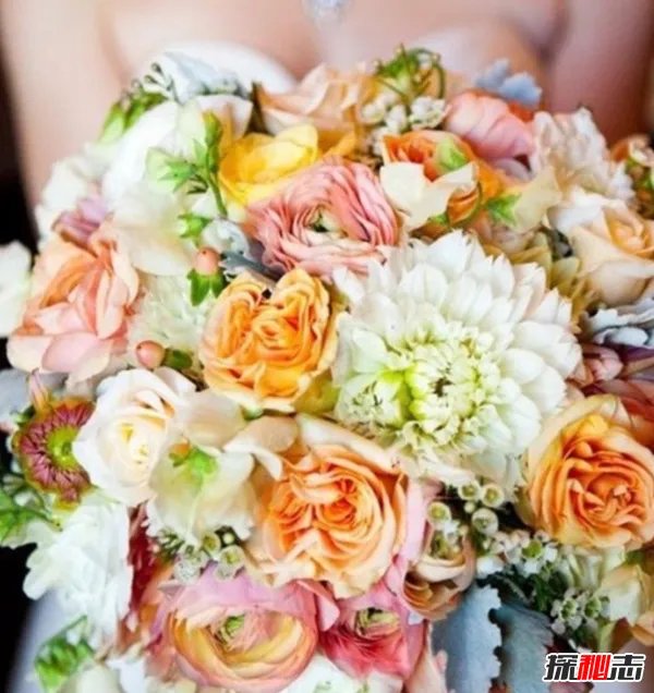 新娘为啥要拿捧花?真相让人崩溃(借花香遮掩身上难闻的臭味)