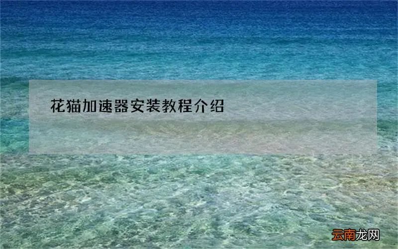 花猫加速器安装教程介绍