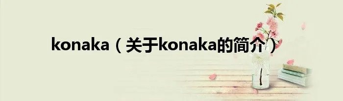 konaka（关于konaka的简介）