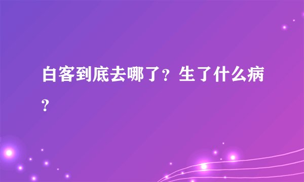 白客到底去哪了？生了什么病？