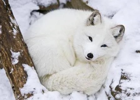 农村劳动竟发生怪事 想起都后怕!（组图）