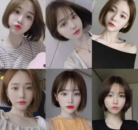 刘阳半藏森林出轨啥意思 半藏森林不带T聊天记录