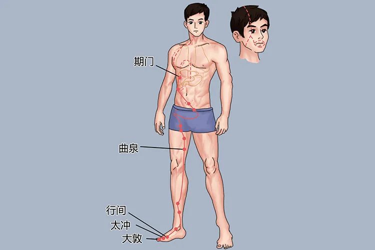十二经络图及走向图
