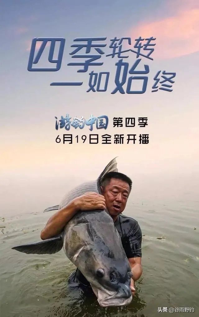 除了《游钓中国》，你还喜欢什么钓鱼类视频？