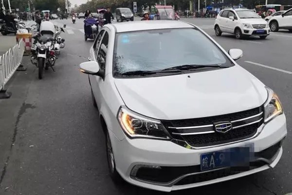 闯红灯被撞飞负全责家属不满,这事你怎么看