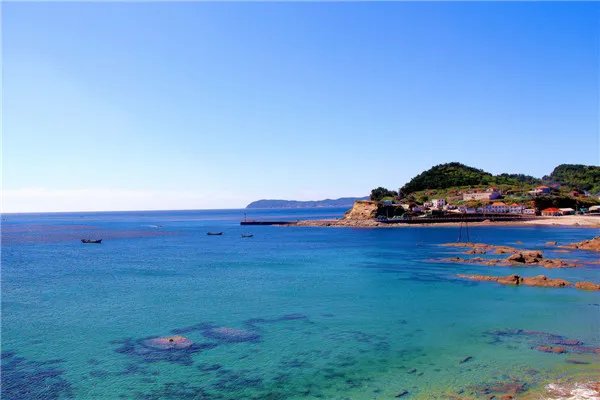 央视深入獐子岛研究什么？