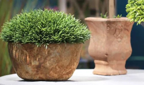 24小时自助花店两年没丢一盆花，如何看待这件事情？