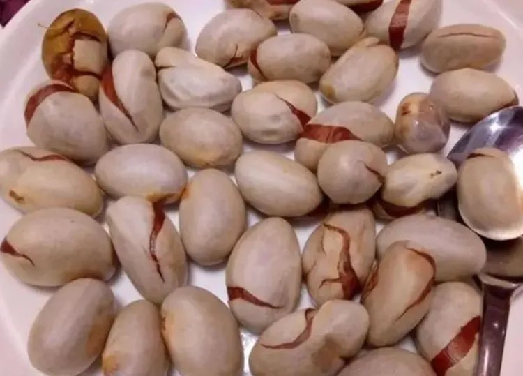 菠萝蜜核的功效与作用