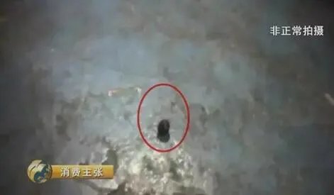 分拣员拆包裹偷吃 快递乱象调查最新消息