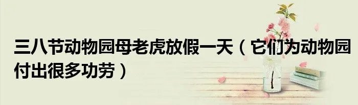 三八节动物园母老虎放假一天(它们为动物园付出很多功劳)