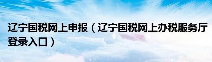 辽宁国税网上申报（辽宁国税网上办税服务厅登录入口）