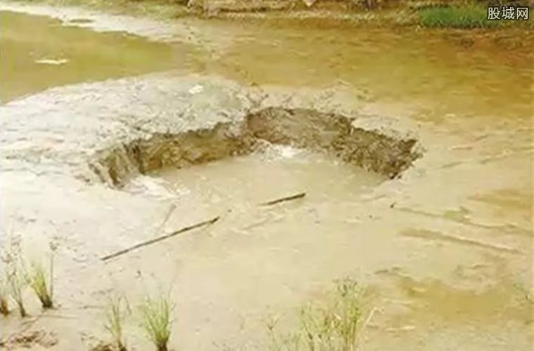 鱼塘现神秘大坑 价值12万活鱼不翼而飞真相竟是这样