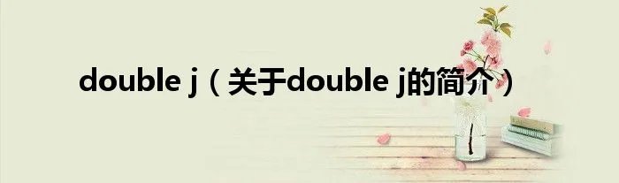 double j（关于double j的简介）