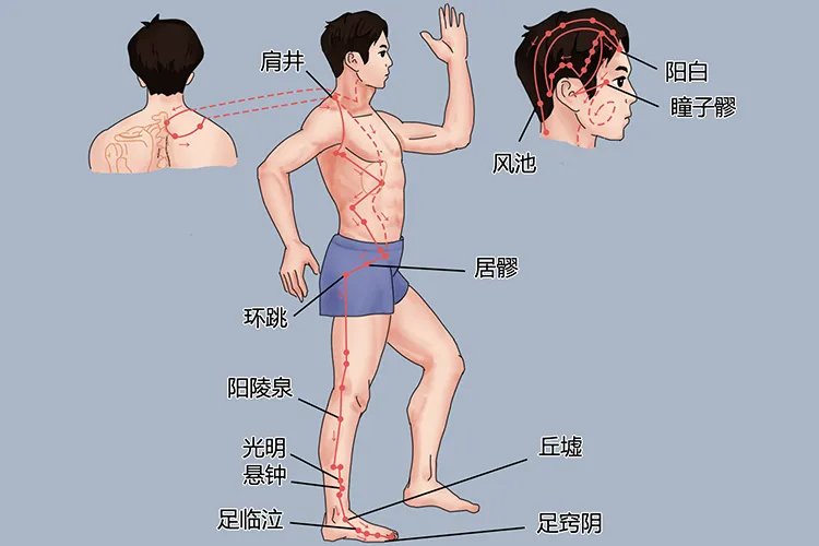 十二经络图及走向图