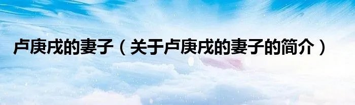 卢庚戌的妻子（关于卢庚戌的妻子的简介）