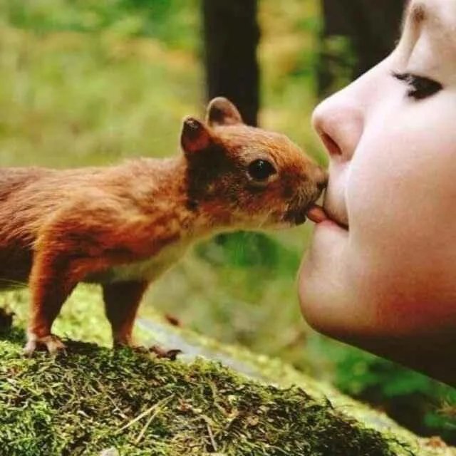 你们分手前最后的聊天记录可以晒出来吗？有多虐心？