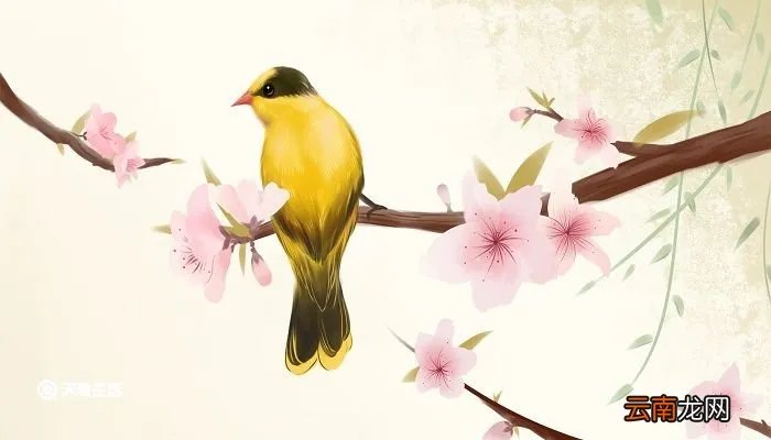 三衢道中古诗意思 三衢道中古诗意思全解