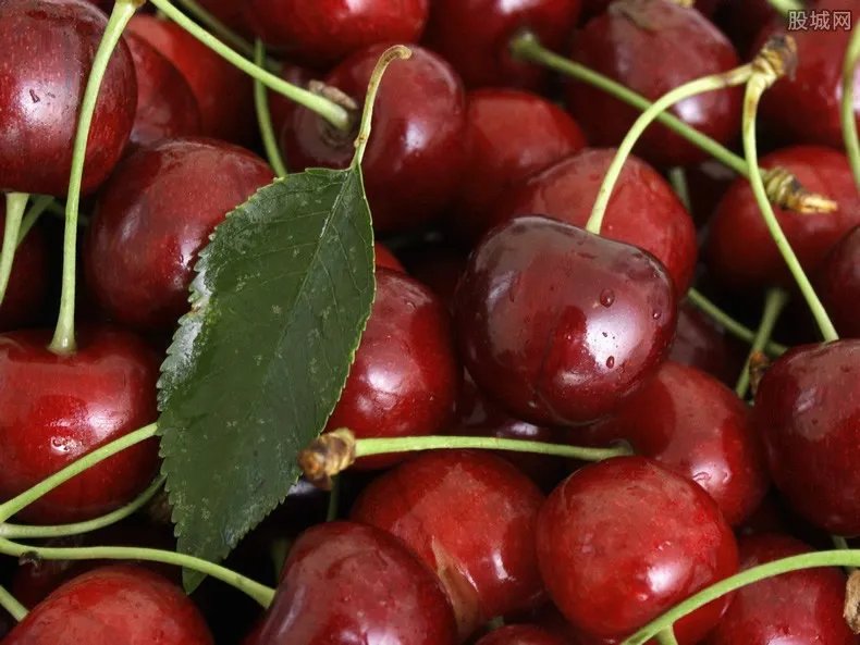 5天吃掉6斤车厘子 车厘子价格多少钱一斤？