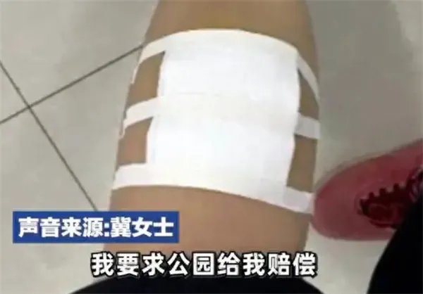 女子带娃路过公园 被3条流浪狗围攻 以下是被围攻原因