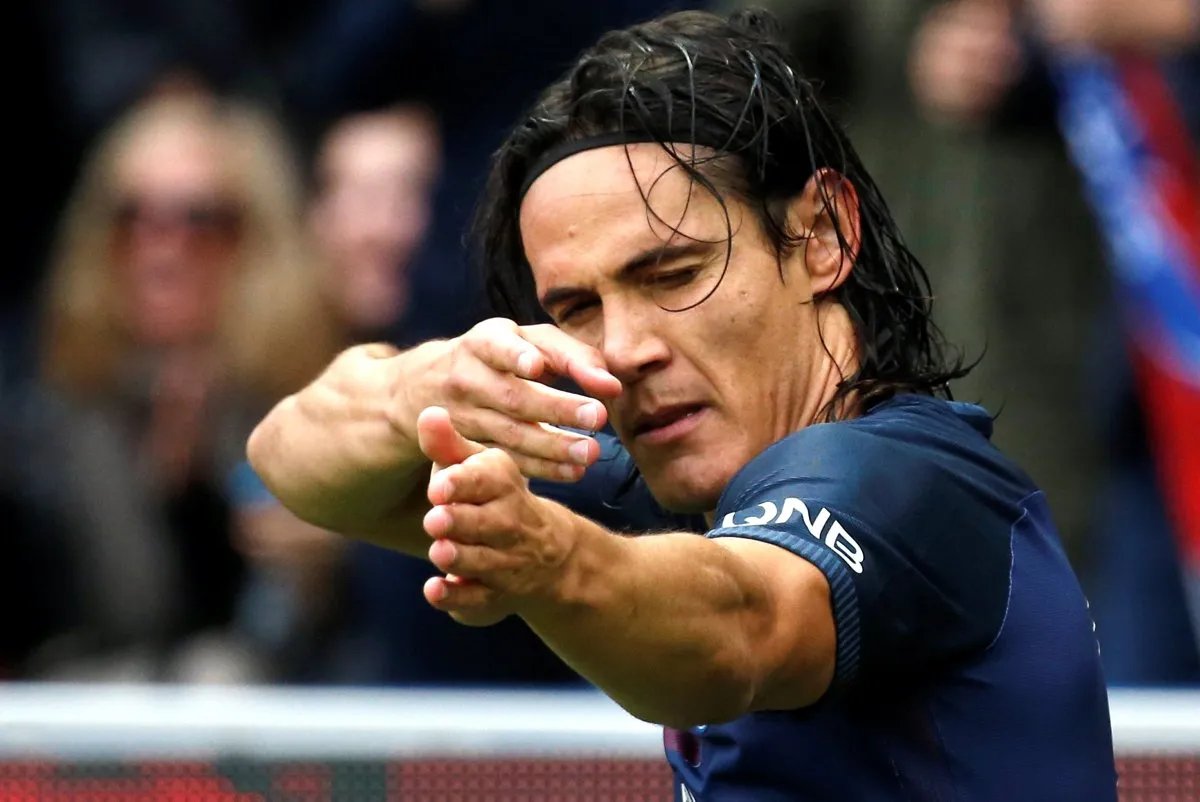 偶遇熊猫横穿马路抓了没?