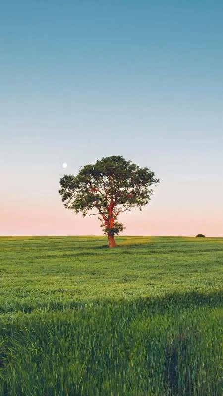 ktv陪唱300元能对她做什么？