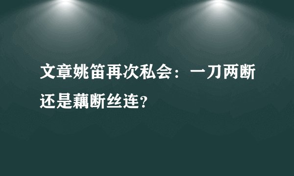 文章姚笛再次私会：一刀两断还是藕断丝连？