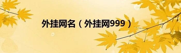 外挂网名（外挂网999）